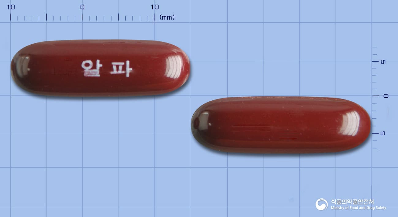 감마마그빅연질캡슐