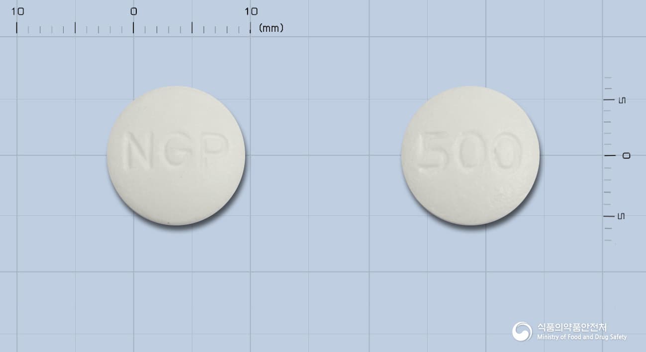 글루코젠정500밀리그램(메트포르민염산염)